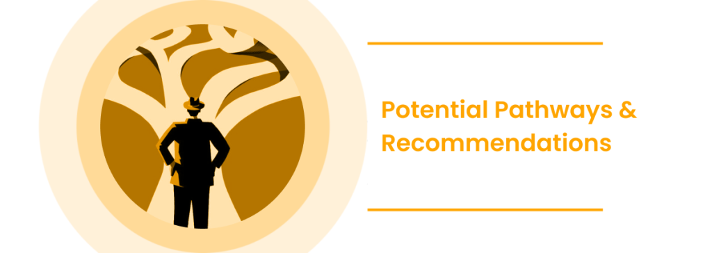 Potential Pathways & Recommendations